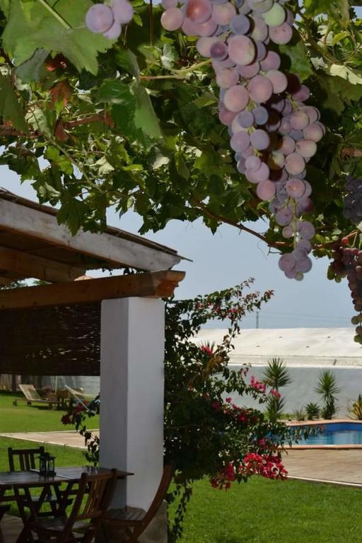 Alojamiento Rural "El Charco Del Sultan" Conil de la Frontera Kültér fotó