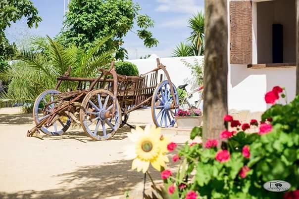 Alojamiento Rural "El Charco Del Sultan" Conil de la Frontera Kültér fotó